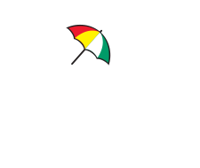 Custom Logo